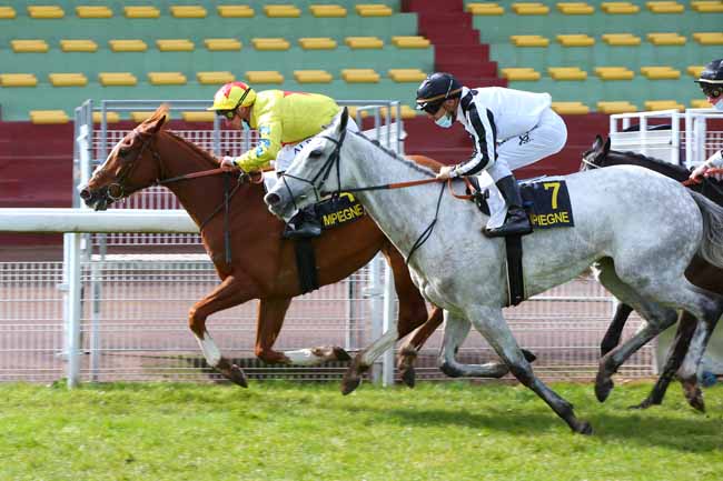 Photo d'arrivée de la course pmu PRIX DU MONT SAINT-JEAN à COMPIEGNE le Dimanche 14 mars 2021