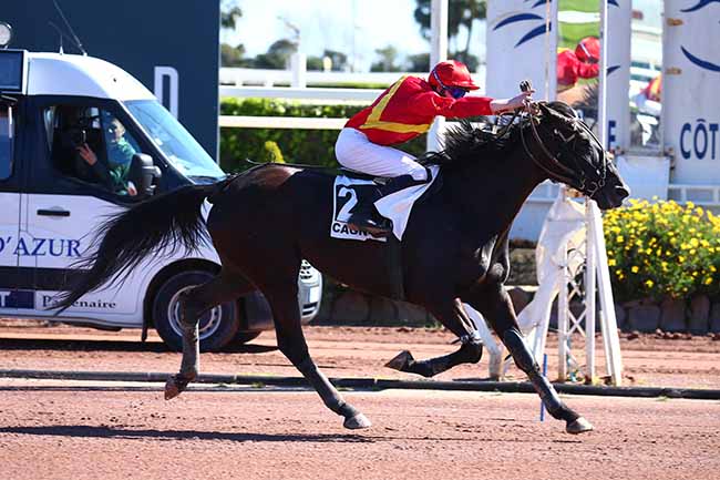 Photo d'arrivée de la course pmu PRIX D'ALBENGA à CAGNES-SUR-MER le Dimanche 14 mars 2021