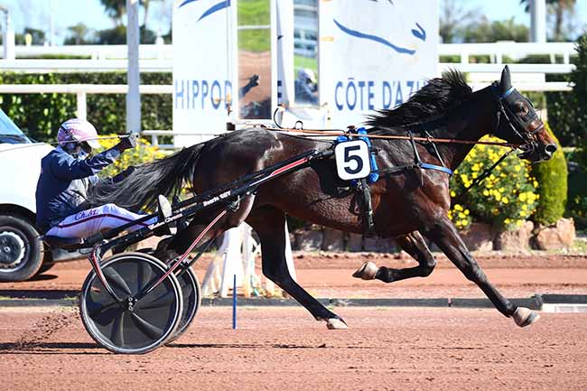 Photo d'arrivée de la course pmu PRIX DE CABOURG à CAGNES-SUR-MER le Dimanche 14 mars 2021