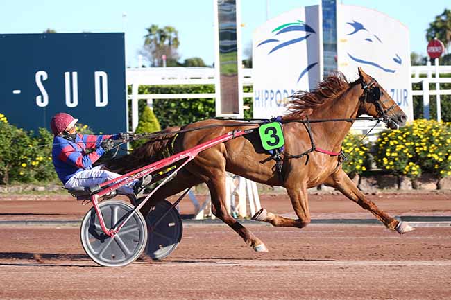 Photo d'arrivée de la course pmu PRIX DE ROME - TOR DI VALLE à CAGNES-SUR-MER le Dimanche 14 mars 2021