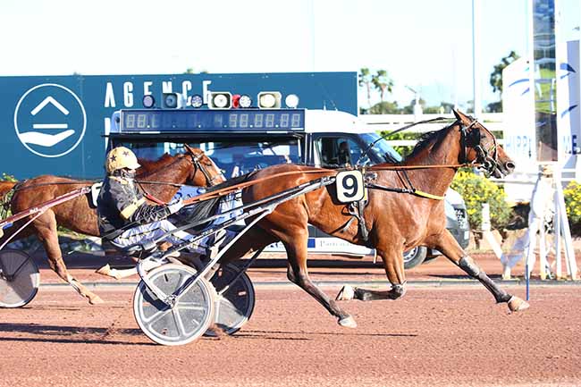 Photo d'arrivée de la course pmu PRIX DE LIVOURNE à CAGNES-SUR-MER le Dimanche 14 mars 2021