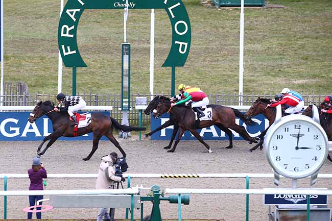 Photo d'arrivée de la course pmu PRIX DU CANAL DE LA MACHINE à CHANTILLY le Lundi 15 mars 2021