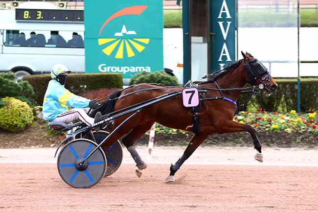 Photo d'arrivée de la course pmu PRIX DE LA FEDERATION ANJOU MAINE CENTRE à LAVAL le Mercredi 17 mars 2021