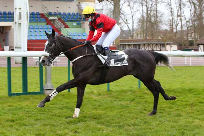 Photo d'arrivée de la course pmu PRIX MASTER BOB à COMPIEGNE le Mercredi 17 mars 2021