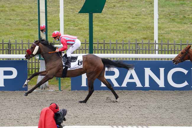 Photo d'arrivée de la course pmu PRIX TALWEG à CHANTILLY le Jeudi 18 mars 2021