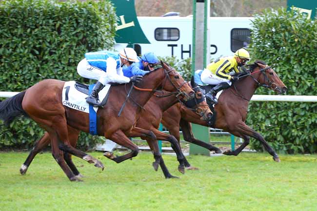 Photo d'arrivée de la course pmu PRIX RONDE DE NUIT à CHANTILLY le Jeudi 18 mars 2021