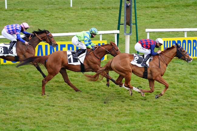 Photo d'arrivée de la course pmu PRIX DES CEDRES à FONTAINEBLEAU le Vendredi 19 mars 2021