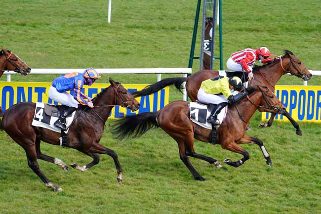 Photo d'arrivée de la course pmu PRIX DU ROCHER CASSEPOT à FONTAINEBLEAU le Vendredi 19 mars 2021