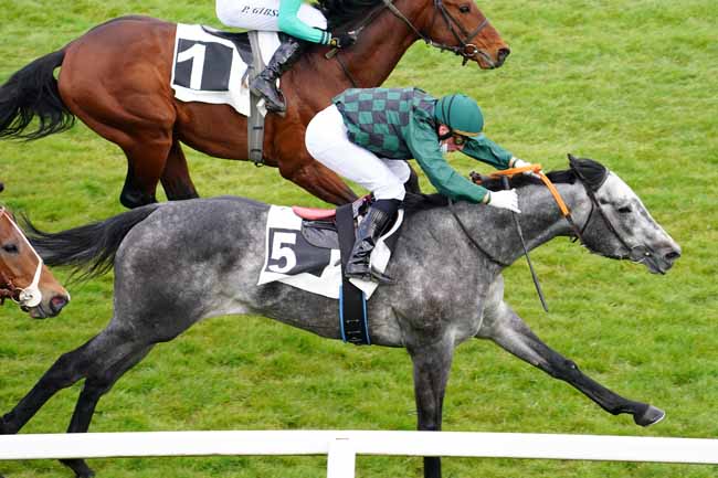 Photo d'arrivée de la course pmu PRIX DES PINS à FONTAINEBLEAU le Vendredi 19 mars 2021
