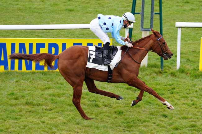 Photo d'arrivée de la course pmu PRIX DU LONG ROCHER à FONTAINEBLEAU le Vendredi 19 mars 2021