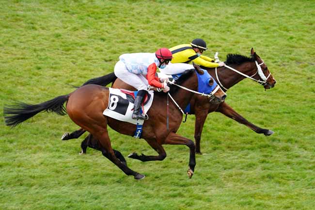 Photo d'arrivée de la course pmu PRIX DE LA FORET DES TROIS PIGNONS à FONTAINEBLEAU le Vendredi 19 mars 2021