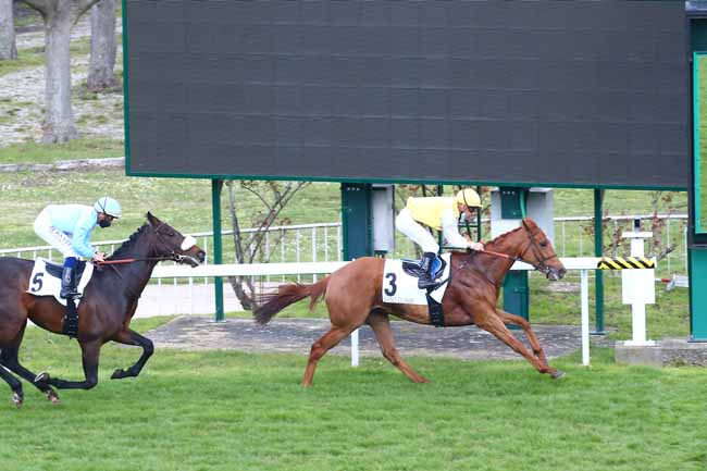 Photo d'arrivée de la course pmu PRIX OMNIUM II à SAINT-CLOUD le Dimanche 21 mars 2021