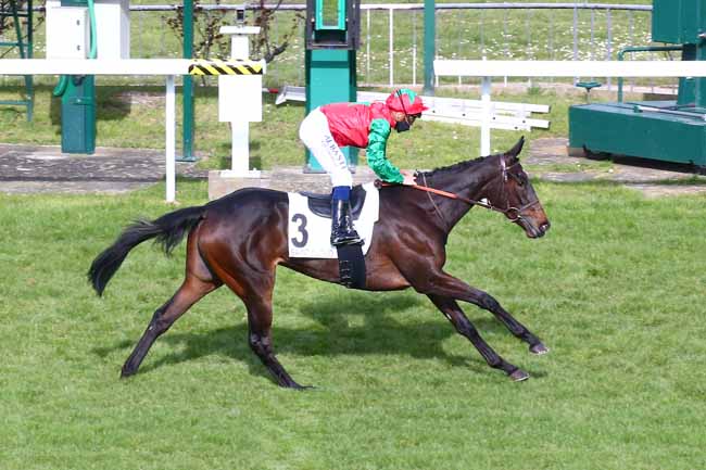 Photo d'arrivée de la course pmu PRIX LA CAMARGO à SAINT-CLOUD le Dimanche 21 mars 2021