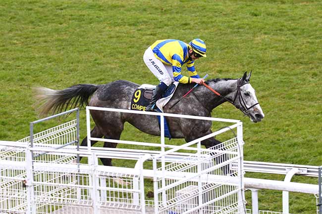 Photo d'arrivée de la course pmu PRIX DES GENTILHOMMES à COMPIEGNE le Lundi 22 mars 2021