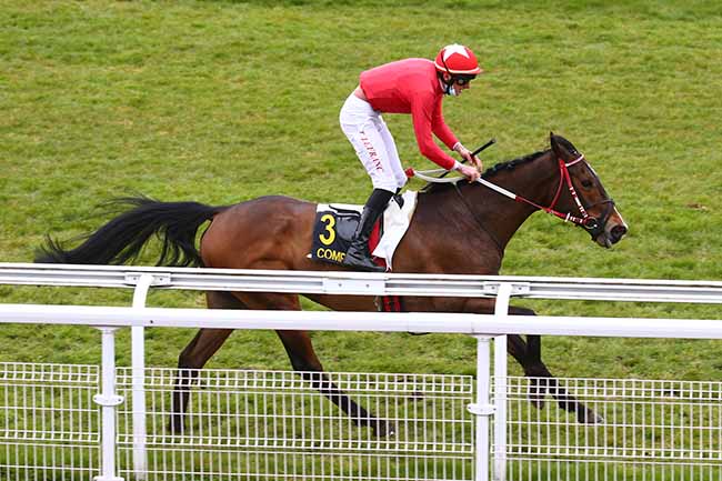 Photo d'arrivée de la course pmu PRIX DU CARREFOUR DU ROND CAPITAINE à COMPIEGNE le Lundi 22 mars 2021