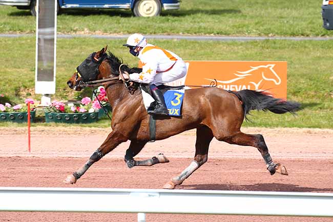 Photo d'arrivée de la course pmu PRIX LE BISTROT GOURMAND à LISIEUX le Mercredi 24 mars 2021