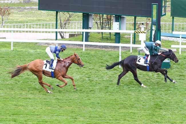 Photo d'arrivée de la course pmu PRIX BRIDAINE à SAINT-CLOUD le Jeudi 25 mars 2021