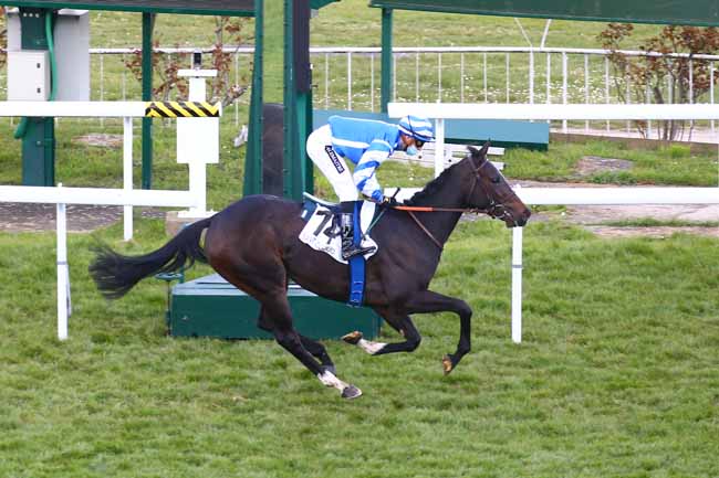 Photo d'arrivée de la course pmu PRIX MONADE à SAINT-CLOUD le Jeudi 25 mars 2021