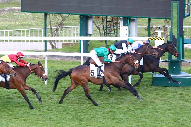 Photo d'arrivée de la course pmu PRIX DE LA PORTE DE MADRID à SAINT-CLOUD le Jeudi 25 mars 2021
