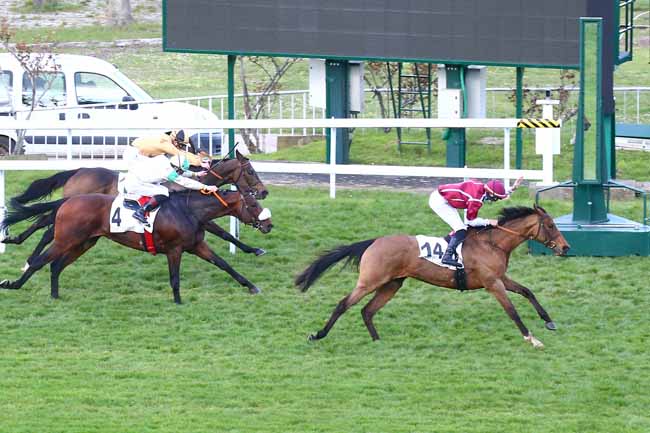 Photo d'arrivée de la course pmu PRIX DE LA GAILLARDERIE à SAINT-CLOUD le Jeudi 25 mars 2021