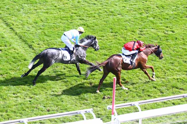 Photo d'arrivée de la course pmu PRIX HUBERT DE NAVAILLES à AUTEUIL le Dimanche 28 mars 2021