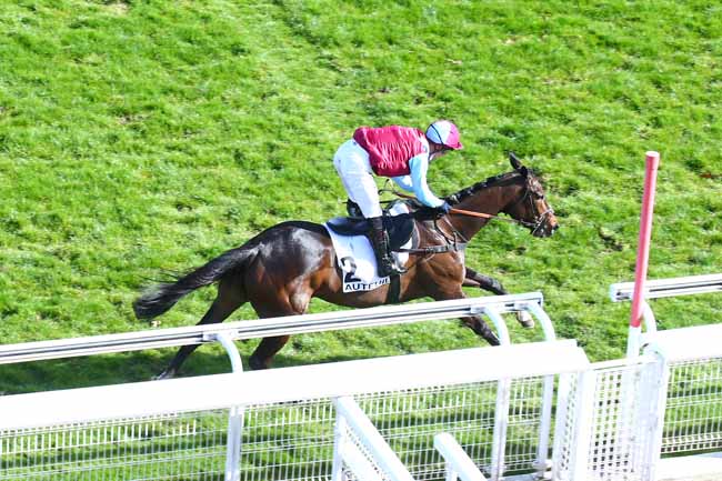 Photo d'arrivée de la course pmu PRIX HYPOTHESE à AUTEUIL le Dimanche 28 mars 2021