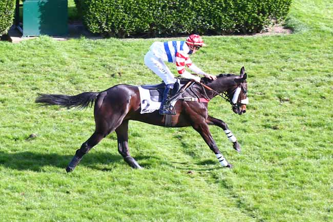 Photo d'arrivée de la course pmu PRIX LE TOUQUET à AUTEUIL le Dimanche 28 mars 2021