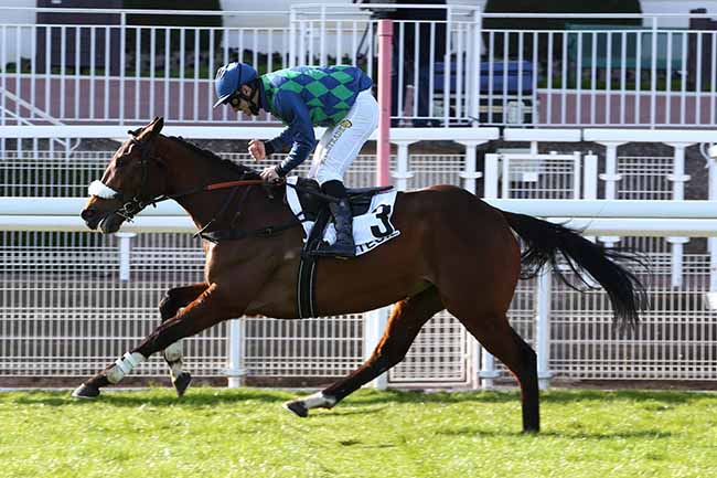 Photo d'arrivée de la course pmu PRIX ALAIN GRIMAUX à AUTEUIL le Dimanche 28 mars 2021