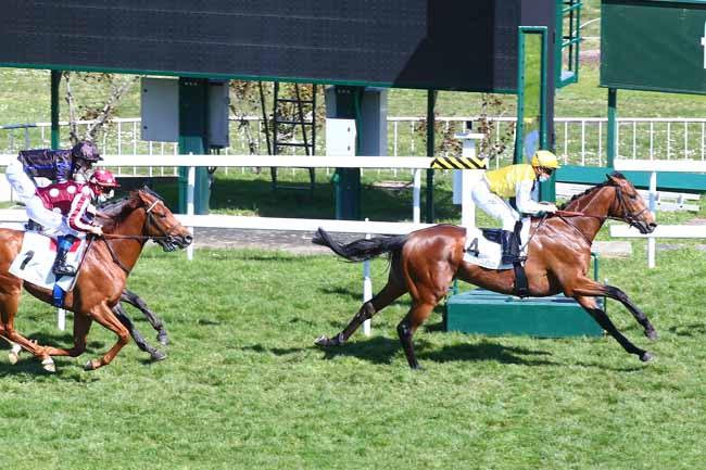 Photo d'arrivée de la course pmu PRIX TERTULLIEN à SAINT-CLOUD le Lundi 29 mars 2021