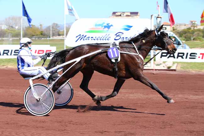 Photo d'arrivée de la course pmu PRIX DE SALON-DE-PROVENCE à MARSEILLE-BORELY le Mercredi 31 mars 2021