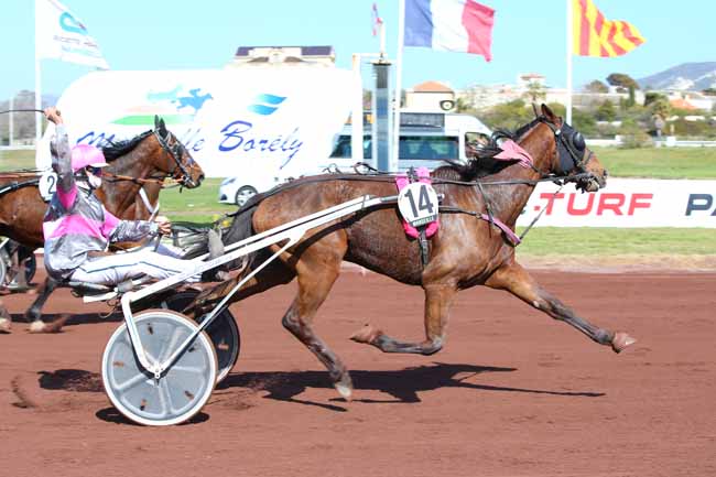 Photo d'arrivée de la course pmu PRIX DE CAGNES-SUR-MER DES PMU DE MARSEILLE à MARSEILLE-BORELY le Mercredi 31 mars 2021
