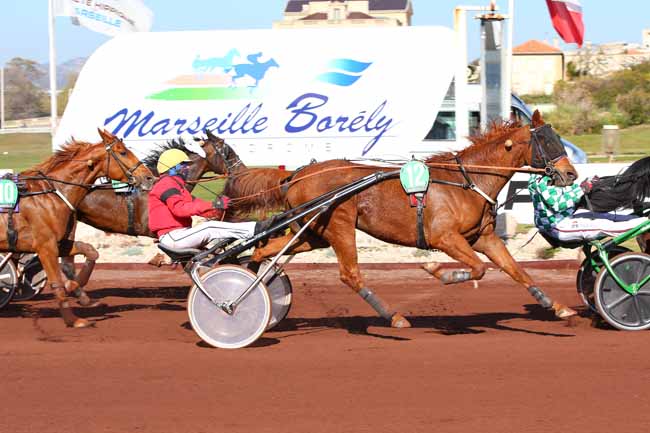 Photo d'arrivée de la course pmu PRIX DOCTEUR YVES BACHELIER à MARSEILLE-BORELY le Mercredi 31 mars 2021