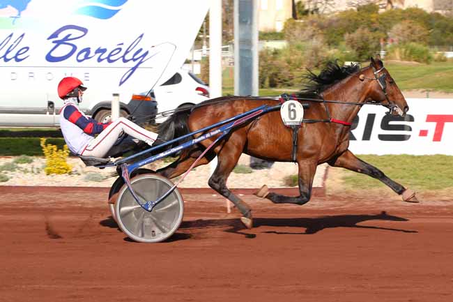 Photo d'arrivée de la course pmu PRIX DU CHATEAU D'IF - PRIX NICOLAS à MARSEILLE-BORELY le Mercredi 31 mars 2021