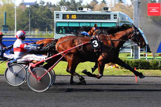 Photo d'arrivée de la course pmu PRIX LUCIA à PARIS-VINCENNES le Vendredi 2 avril 2021