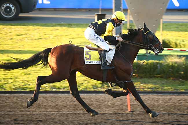 Photo d'arrivée de la course pmu PRIX ALCOR à PARIS-VINCENNES le Vendredi 2 avril 2021