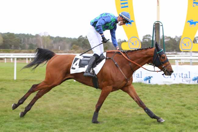 Photo d'arrivée de la course pmu GRAND STEEPLE-CHASE CROSS COUNTRY DE FONTAINEBLEAU à FONTAINEBLEAU le Samedi 3 avril 2021