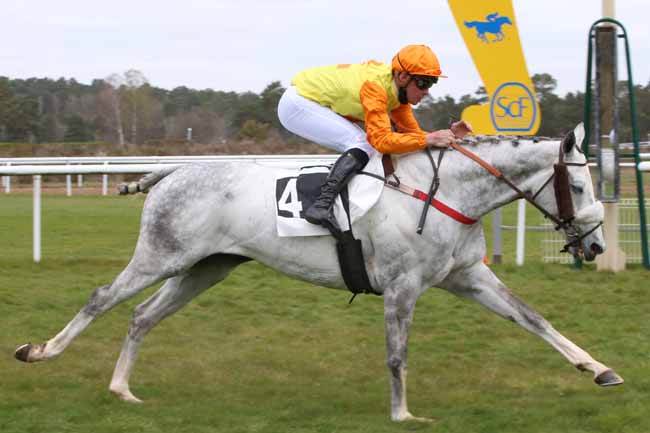 Photo d'arrivée de la course pmu PRIX ENTREPRISE S.N. DUBUISSON à FONTAINEBLEAU le Samedi 3 avril 2021