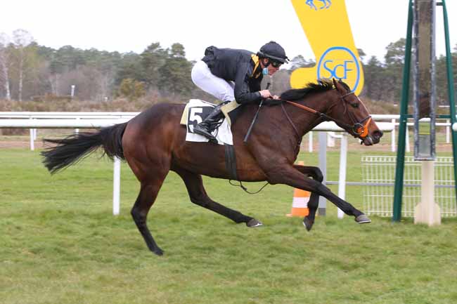 Photo d'arrivée de la course pmu PRIX DE LA TILLAIE à FONTAINEBLEAU le Samedi 3 avril 2021