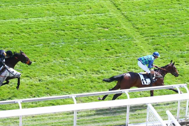 Photo d'arrivée de la course pmu PRIX GEOGRAPHIE à AUTEUIL le Dimanche 4 avril 2021