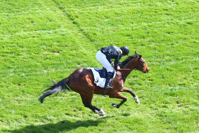Photo d'arrivée de la course pmu PRIX GRANDAK à AUTEUIL le Dimanche 4 avril 2021