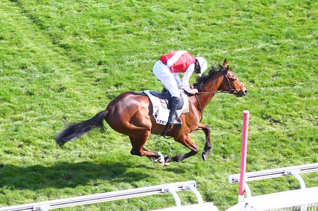 Photo d'arrivée de la course pmu PRIX ALCIDE à AUTEUIL le Dimanche 4 avril 2021