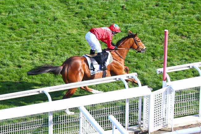 Photo d'arrivée de la course pmu PRIX KASHNIL à AUTEUIL le Dimanche 4 avril 2021