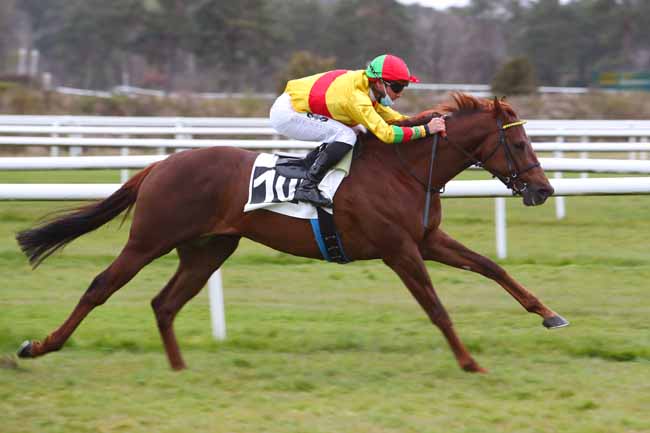 Photo d'arrivée de la course pmu PRIX DES GRANDS CERFS à FONTAINEBLEAU le Vendredi 9 avril 2021