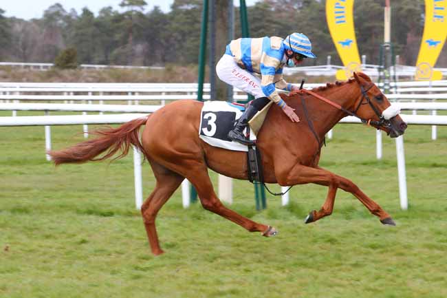 Photo d'arrivée de la course pmu PRIX DES HETRES à FONTAINEBLEAU le Vendredi 9 avril 2021
