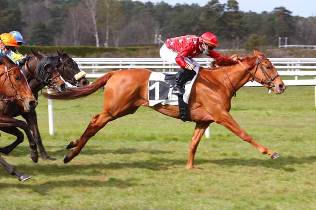 Photo d'arrivée de la course pmu PRIX DES BARNOLETS à FONTAINEBLEAU le Vendredi 9 avril 2021