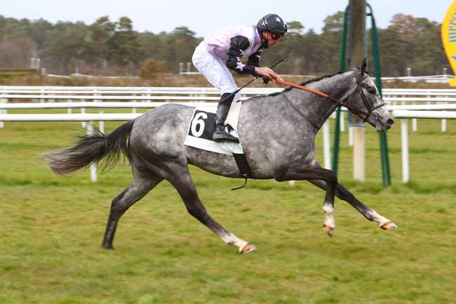 Photo d'arrivée de la course pmu PRIX GOLDIKOVA à FONTAINEBLEAU le Vendredi 9 avril 2021