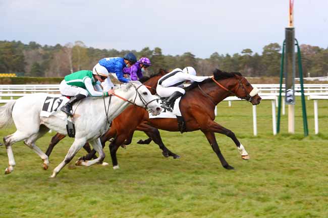 Photo d'arrivée de la course pmu PRIX DU THENNEY à FONTAINEBLEAU le Vendredi 9 avril 2021