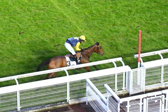 Photo d'arrivée de la course pmu PRIX TURCO à AUTEUIL le Samedi 10 avril 2021