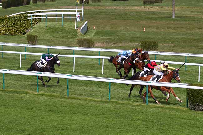 Photo d'arrivée de la course pmu PRIX DE LA ROCHELLE à COMPIEGNE le Lundi 12 avril 2021
