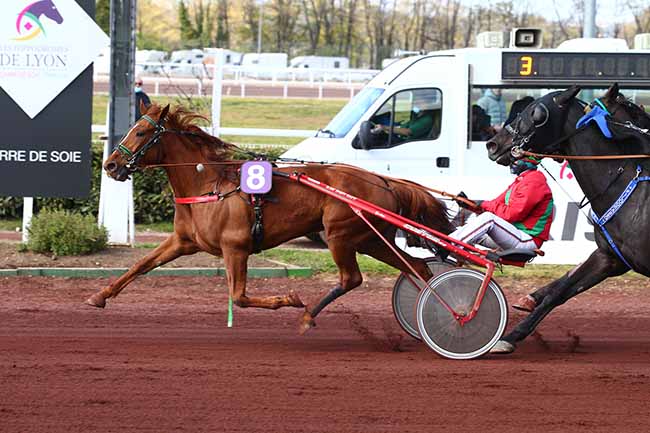 Photo d'arrivée de la course pmu PRIX MFR DE MORNAND-EN-FOREZ - PRIX DE STRASBOURG à LYON LA SOIE le Mercredi 14 avril 2021